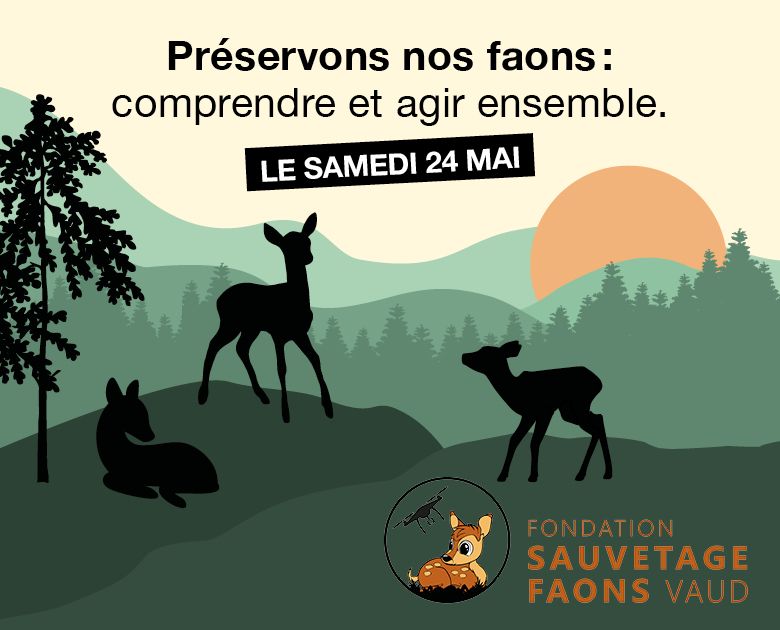 op_780_630_fit-2025_METROPOLE_SITE_780x630px-FAONS